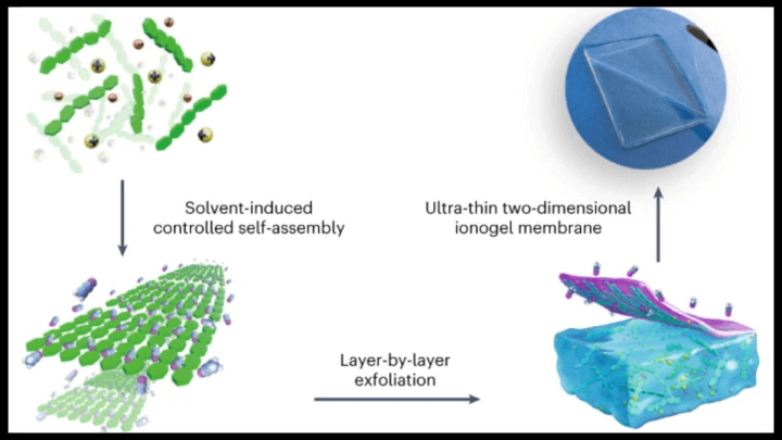 A general strategy for synthesizing biomacromolecular ionogel membranes via solvent-induced self-assembly