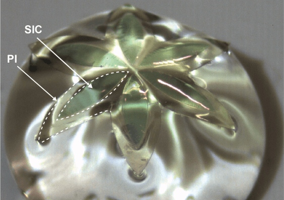 Optical image of a flower-shaped ultra-thin silicon carbide (SiC) wide bandgap semiconductor, stamped onto a polyimide (PI) film and positioned on a water droplet. Image supplied by Thanh-An Truong.
