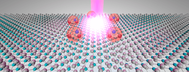 Tungsten Diselenide WSe2