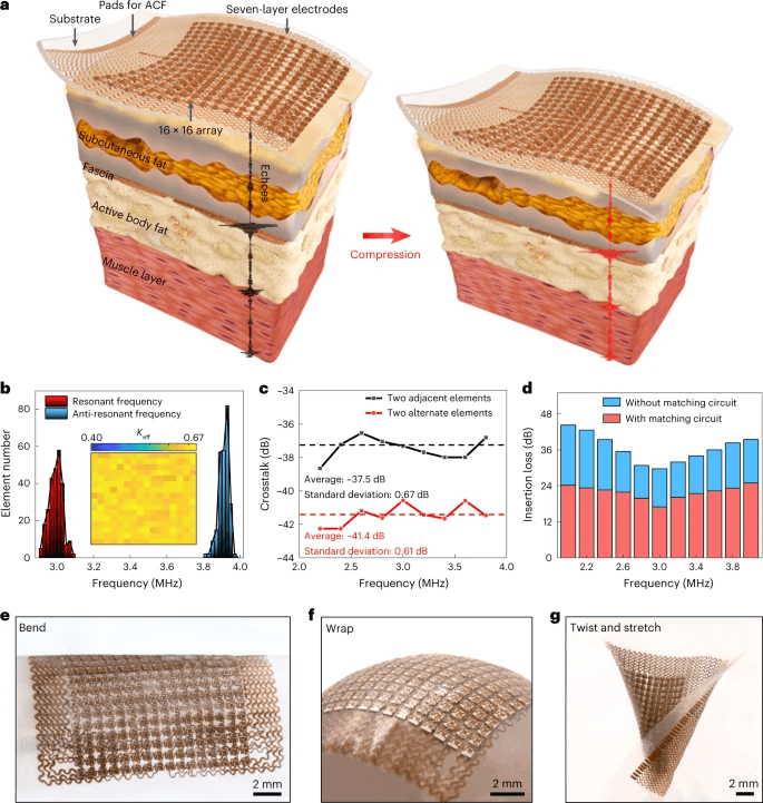 Schematic of a stretchable ultrasonic array laminated on soft tissue, consisting of a 16-by-16 array of transducer elements connected by a seven-layer electrode and encapsulated with a waterproof, biocompatible silicone elastomer. The layout allows individual activation of each element and capture of reflected echoes from scattering sources. The image also shows the resonant frequency, anti-resonant frequency, and electromechanical coupling coefficient distribution of the elements, evaluation of the crosstalk between elements, and insertion loss of the transducers. Additionally, it includes optical images of the device when bent, wrapped on complex-shaped surfaces, and twisted and stretched, demonstrating its mechanical compliance and robustness.