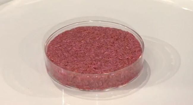 lab grown meat