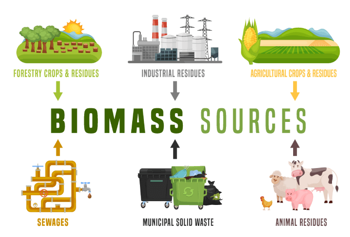Horizontal infographic poster illustrating biomass energy landscape in cartoon style. Highlights ecological power, zero emissions, and global warming solutions.