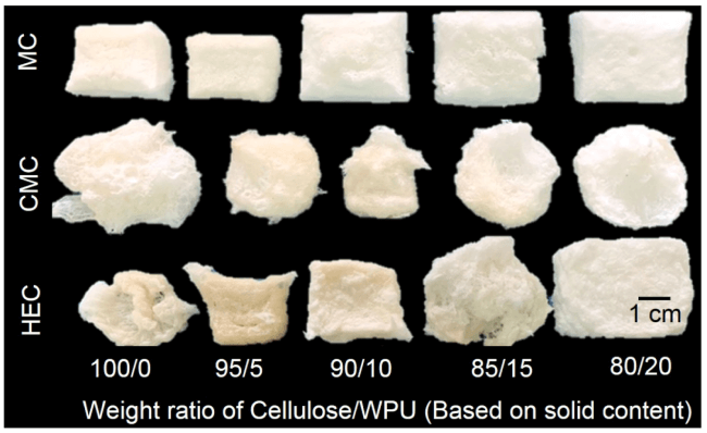 How cellulose/WPU composite aerogels look.