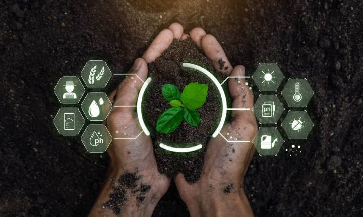 Precision Agriculture: A Hand Holding a Young Plant. Concept of Smart Farming and Advanced Agricultural Technology.