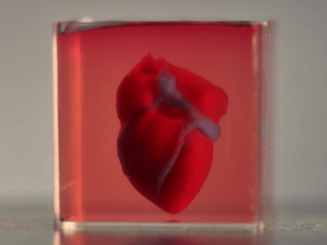 3D printed heart